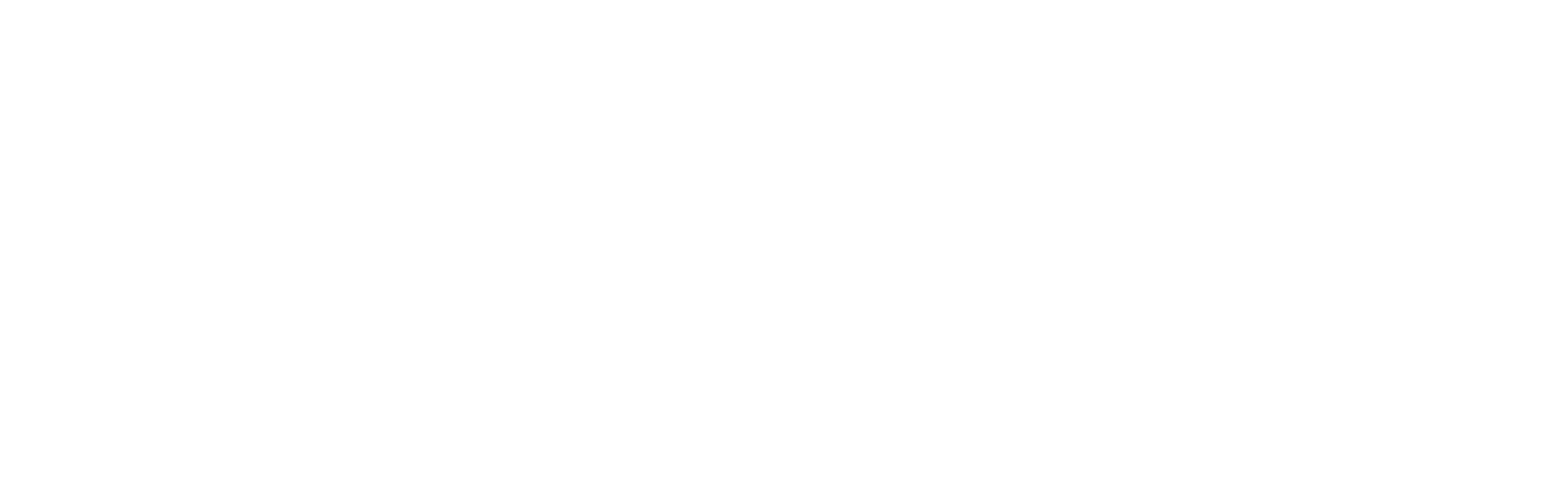 SetYourPik Logo